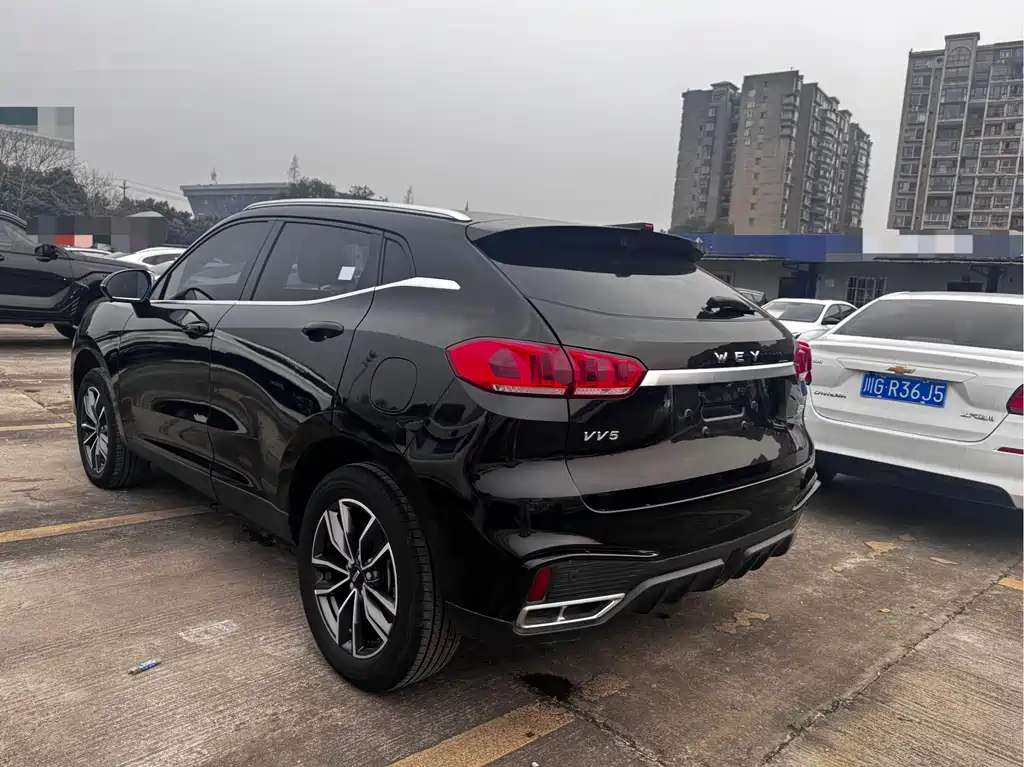 WEI PAI WEI BRAND VV5