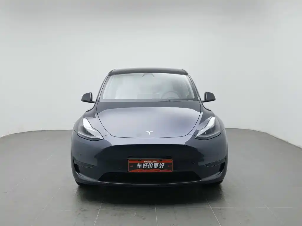 Tesla Model Y — миниатюра 3