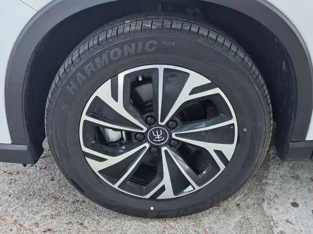 BYD Pro New Energy — миниатюра 2