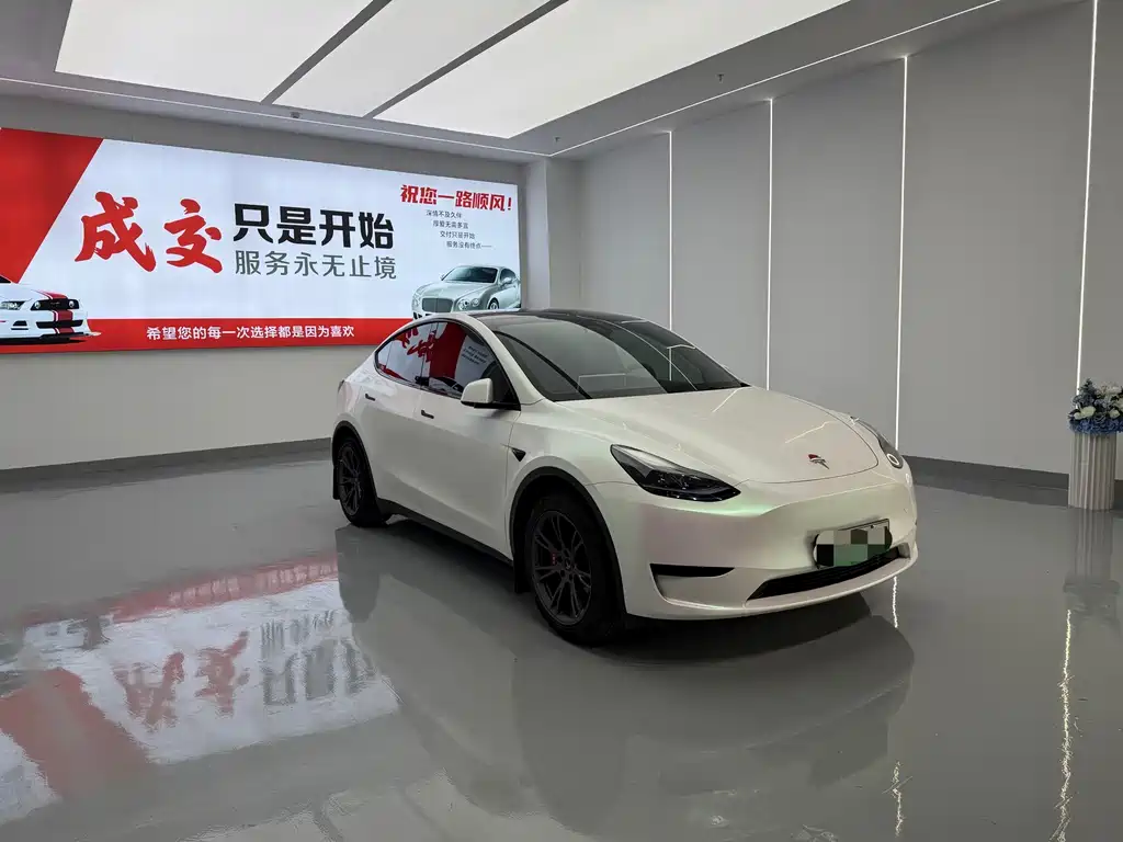 Tesla Model Y — миниатюра 3