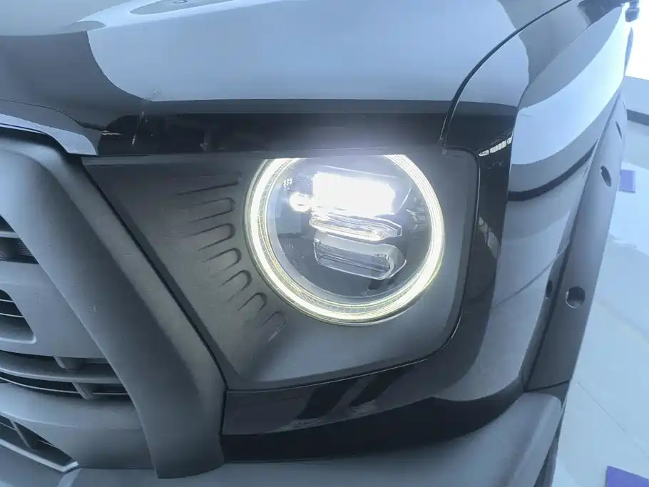 Haval Big Dog — миниатюра 5