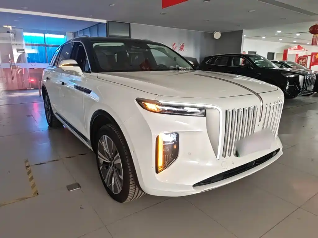 Hongqi Hongqi E-HS9 — миниатюра 4