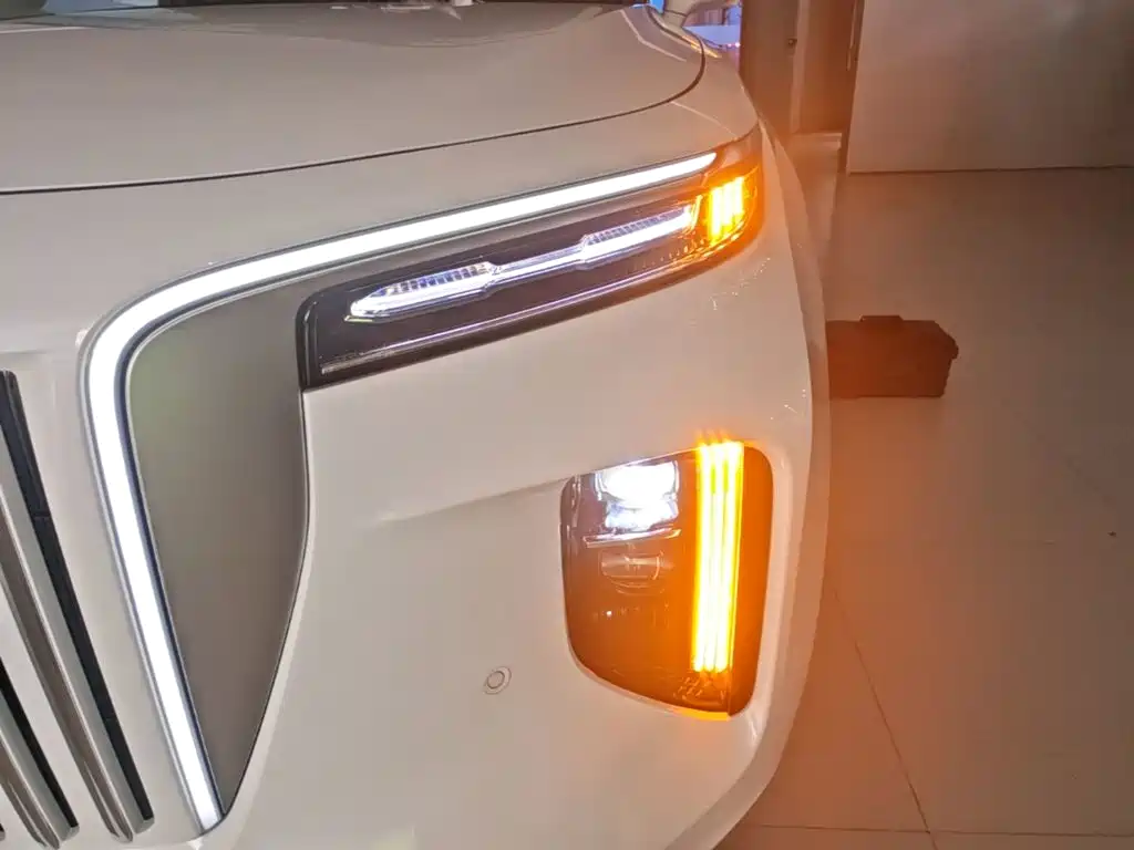 Hongqi Hongqi E-HS9 — миниатюра 24