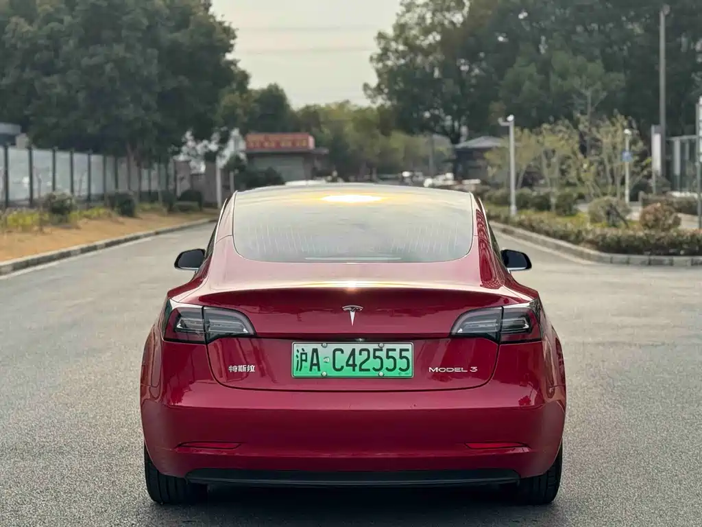 TESLA MODEL 3