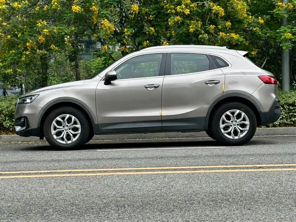 BORGWARD BAOWO BX5