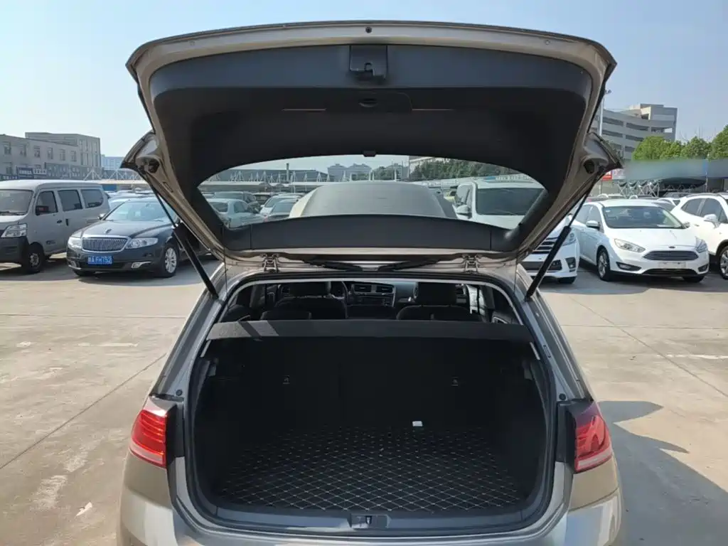 Volkswagen Golf — миниатюра 19