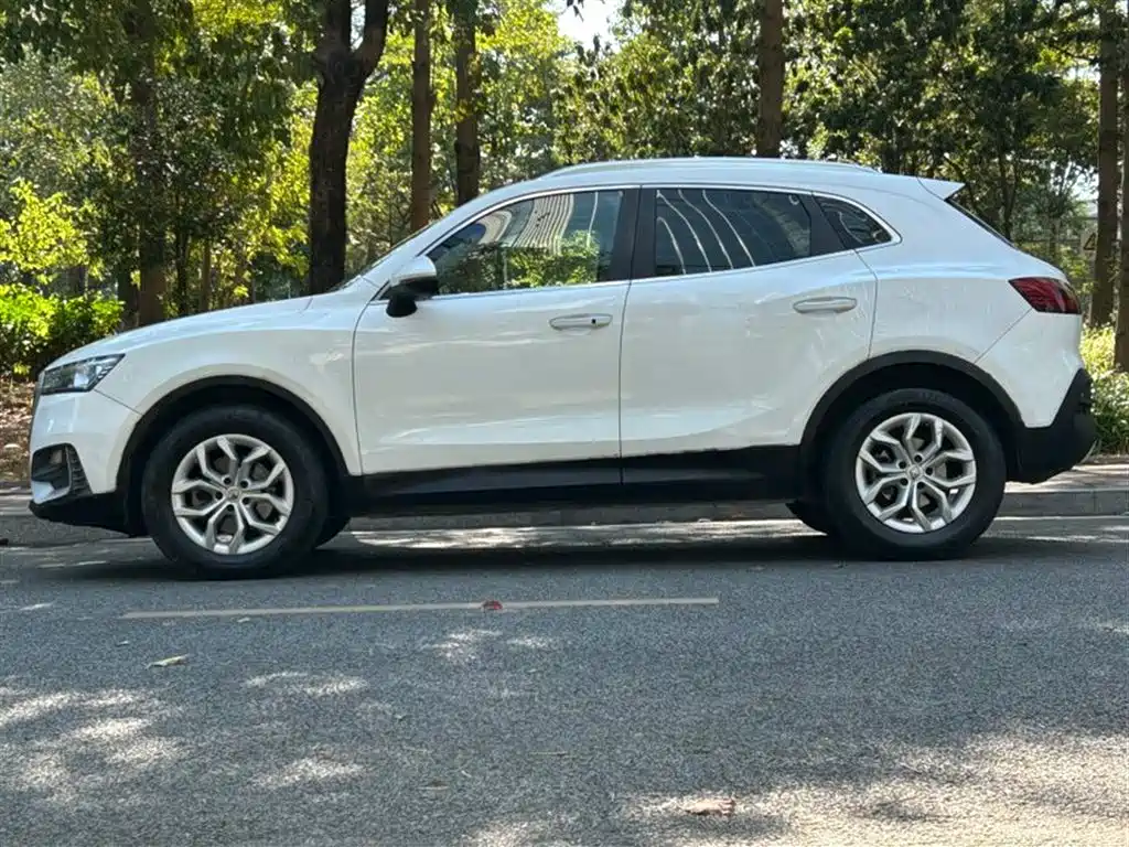 BORGWARD BAOWO BX5