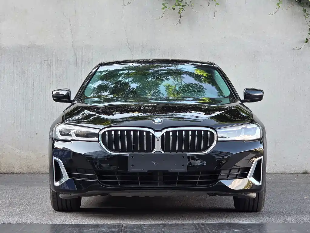 BMW 5 Series — миниатюра 2