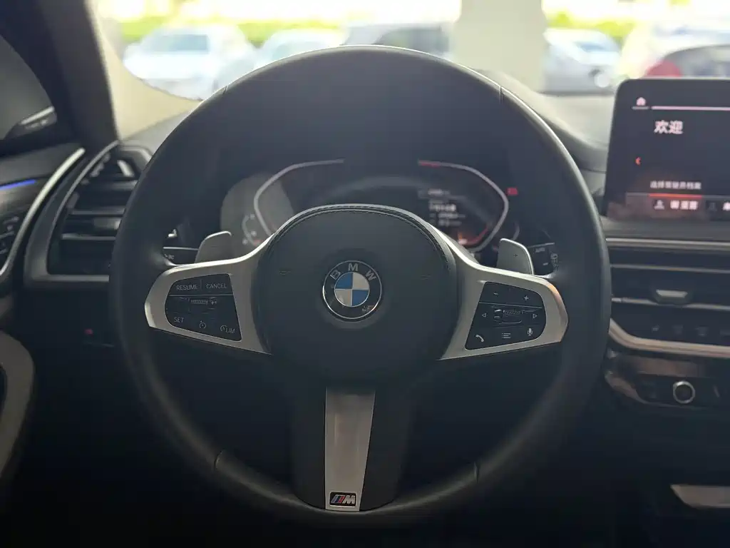 BMW X3 2022 xDrive30i Lead M