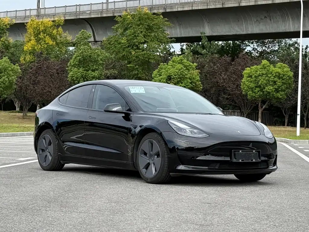 Tesla Model 3 — миниатюра 3