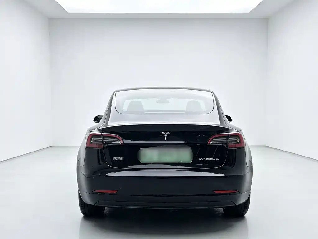 Tesla Model 3 — миниатюра 7