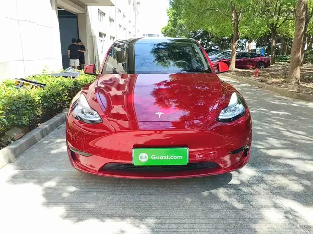 Tesla Model Y — миниатюра 3