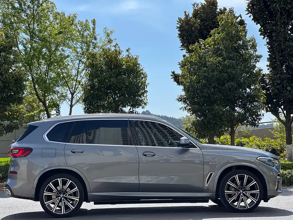 BMW X5 xDrive 30Li Premium Type M Sport Package, фото 5