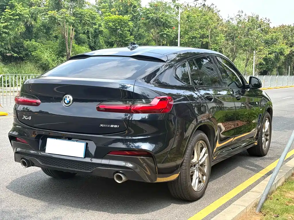 BMW X4 — миниатюра 4