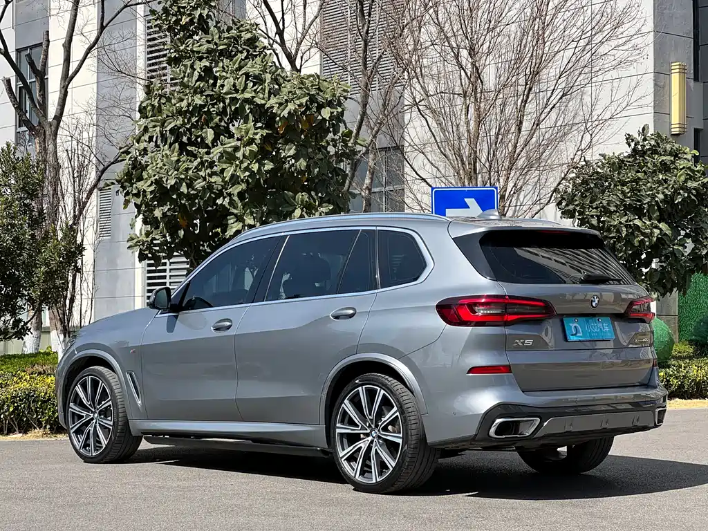 BMW X5 xDrive 30Li Premium Type M Sport Package, фото 7