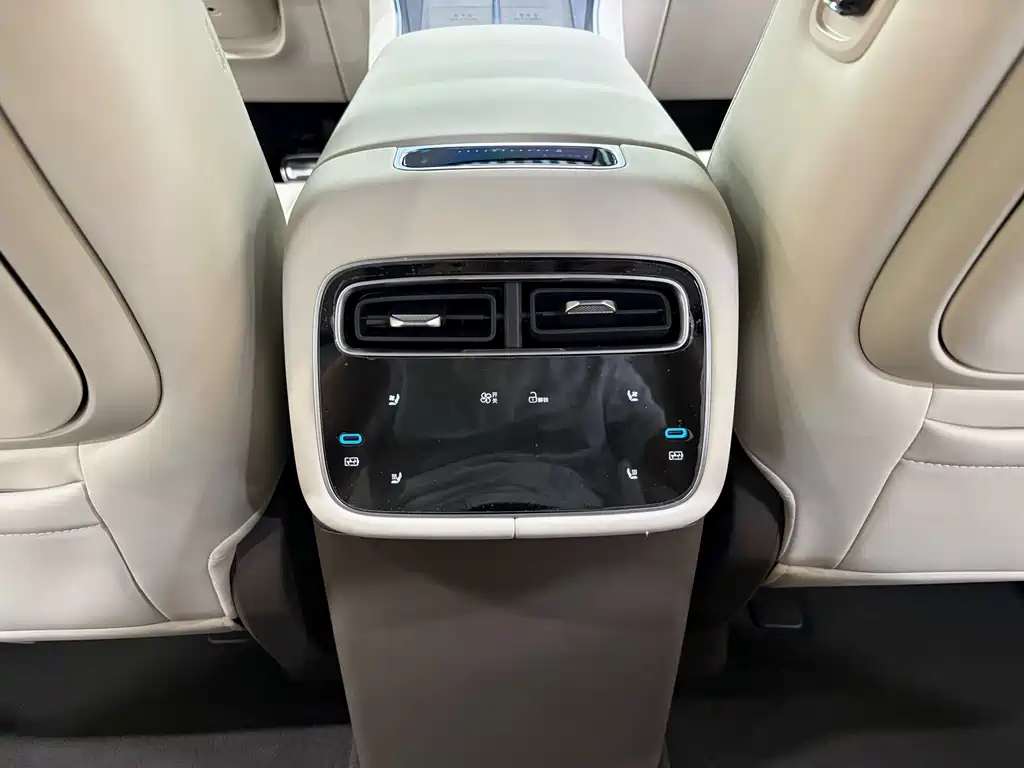 Denza Denza N8L — миниатюра 6
