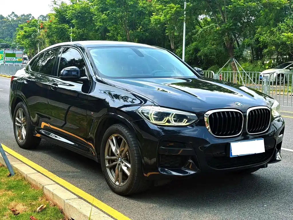 BMW X4 — миниатюра 3