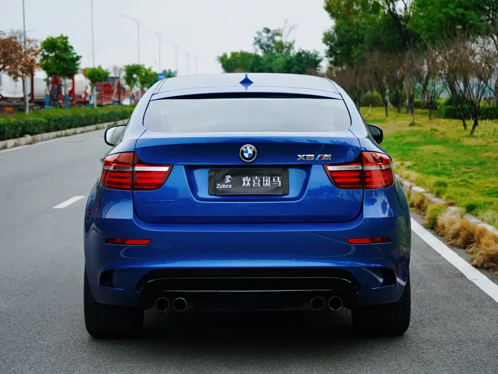 BMW X6 M 2010 X6 M
