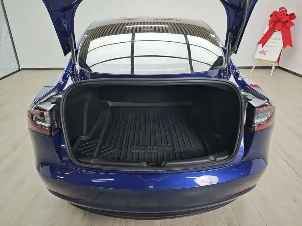 Tesla Model 3 — миниатюра 8