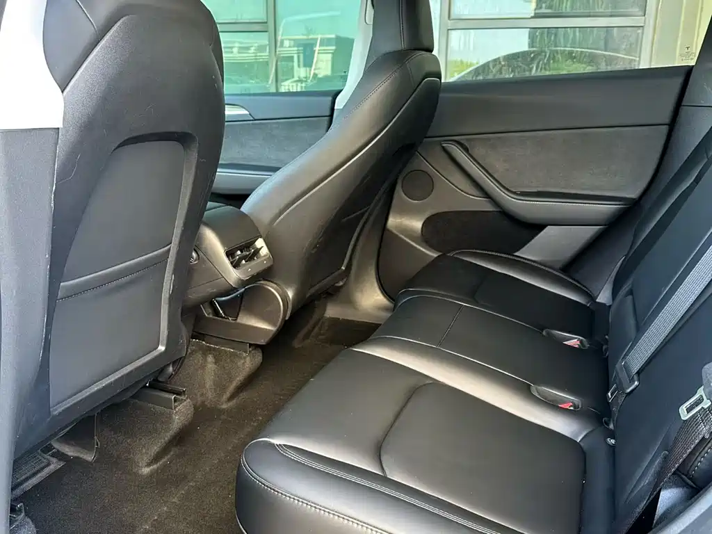 Tesla Model Y 2022 Performance
