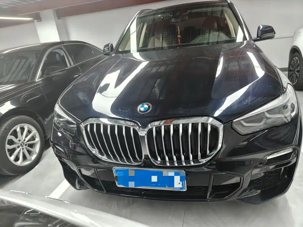 BMW X5 2019 xDrive30i M Sport
