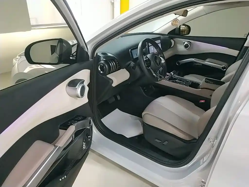 BYD Yuan Plus — миниатюра 16