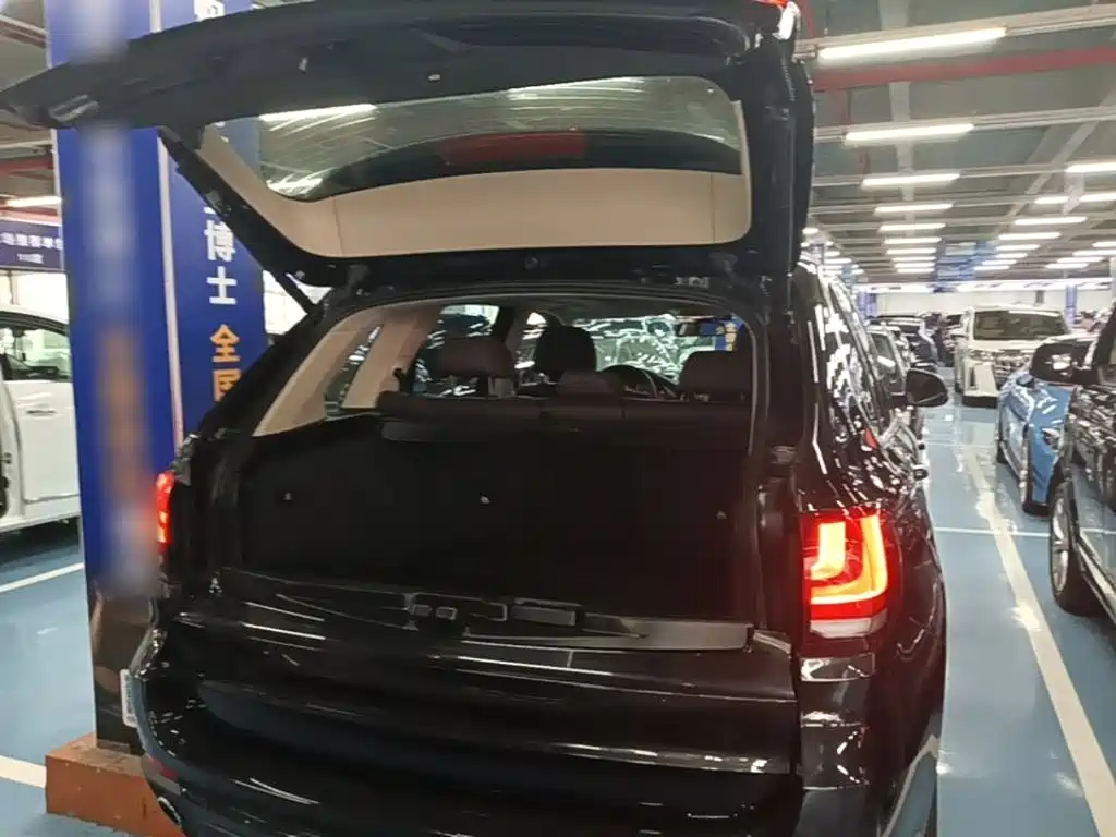 BMW X5 (Import) — миниатюра 19