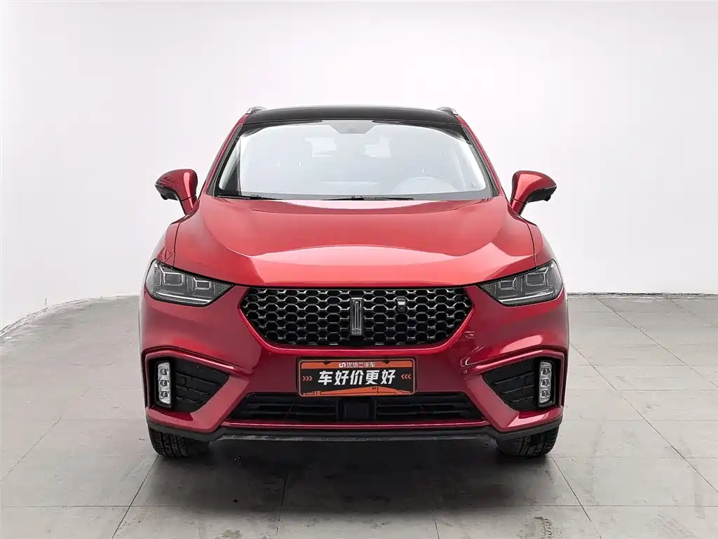 WEI PAI WEI BRAND VV5