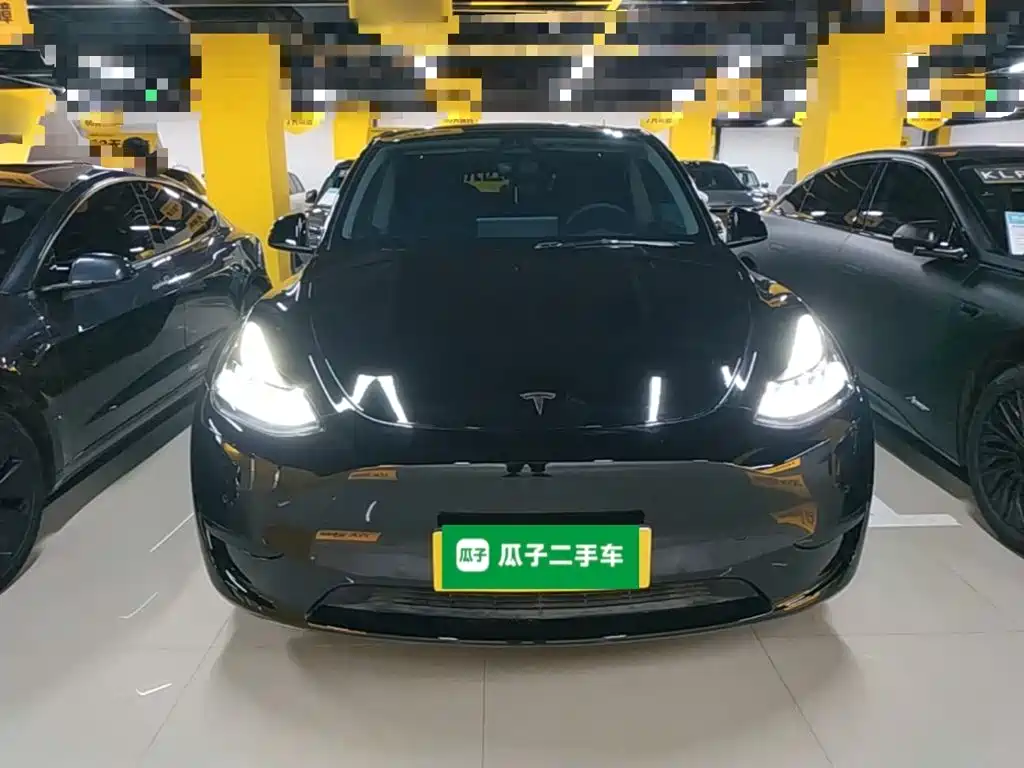 Tesla Model Y — миниатюра 3