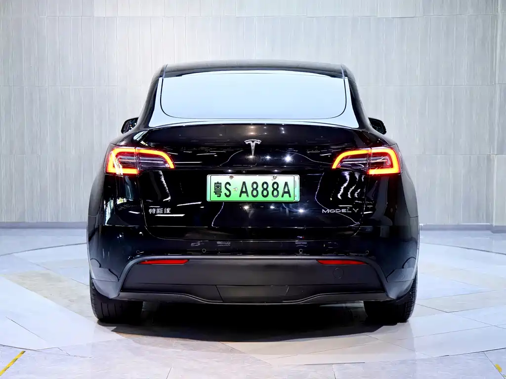 Tesla Model Y — миниатюра 6