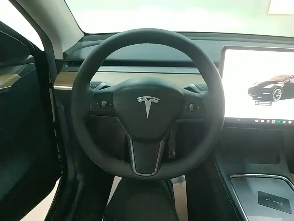 Tesla Model Y — миниатюра 11