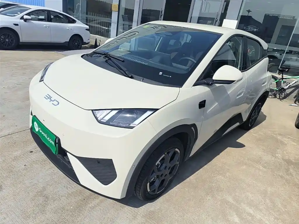 Byd Seagull 2025