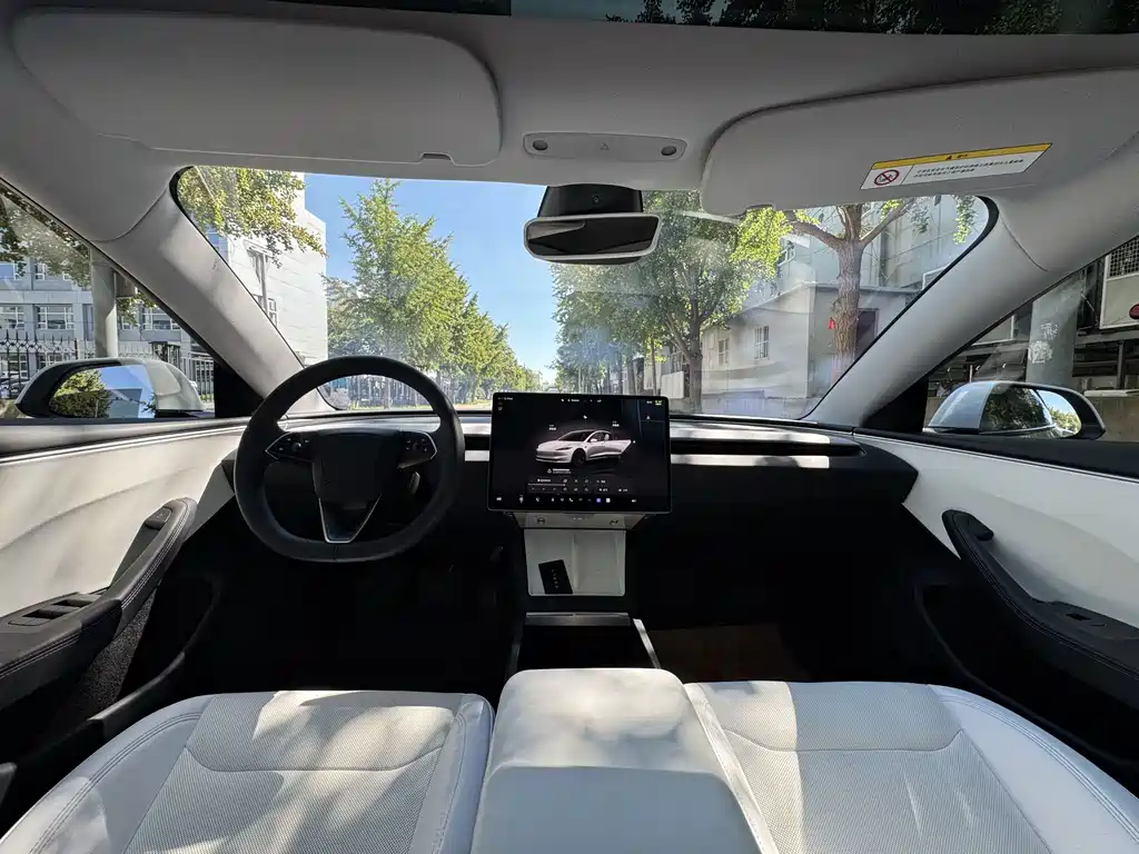 Tesla Model 3 — миниатюра 15