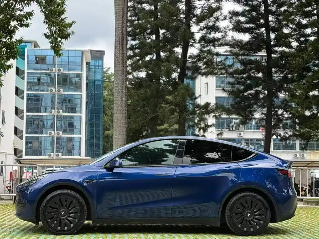 Tesla Model Y — миниатюра 3