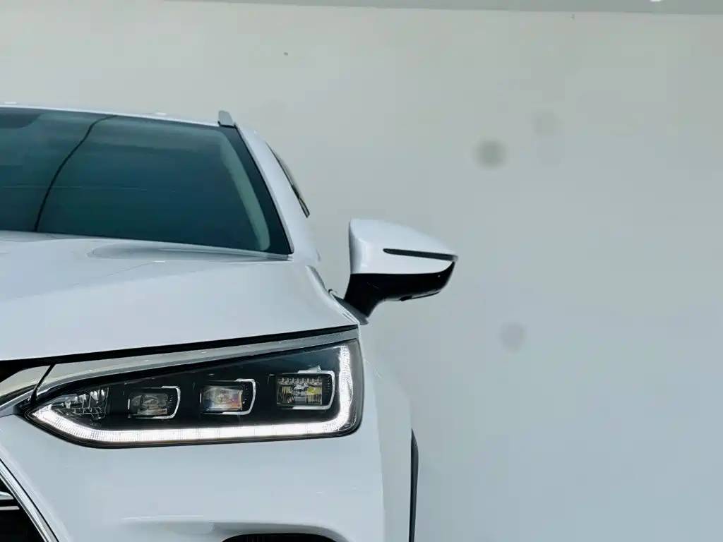 BYD Tang New Energy — миниатюра 10
