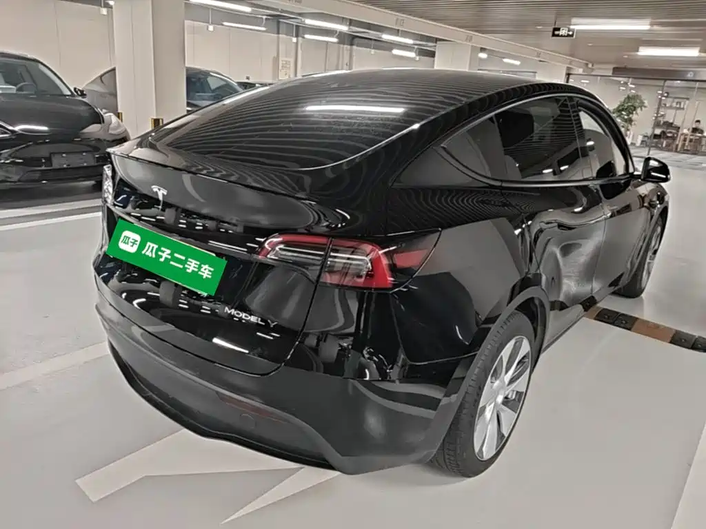 Tesla Model Y — миниатюра 7