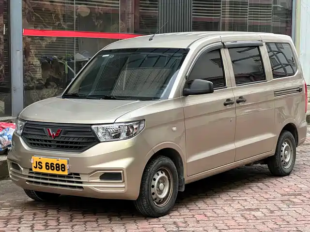 2023 Wuling Motors Hongguang