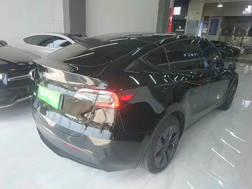 Tesla Model Y — миниатюра 7