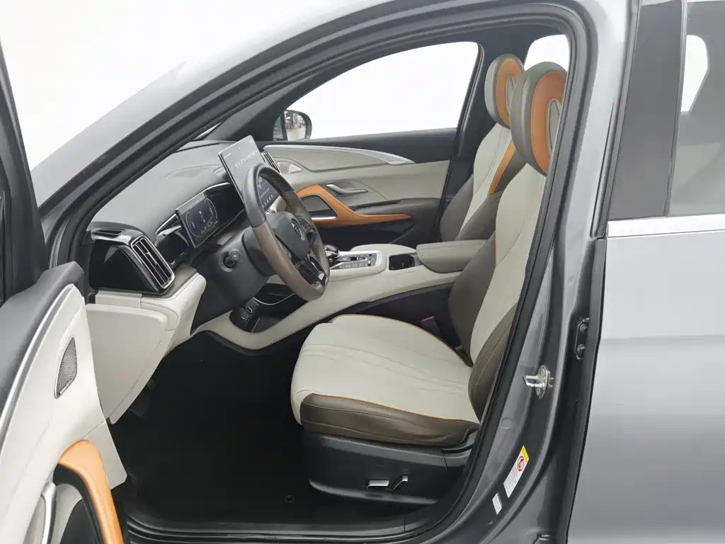 BYD Pro New Energy — миниатюра 10