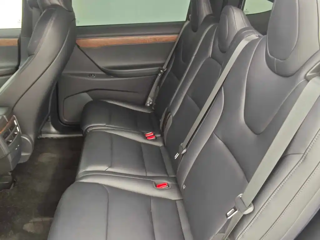 Tesla Model X — миниатюра 12