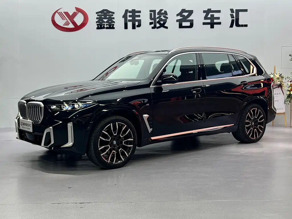 BMW X5 — миниатюра 2