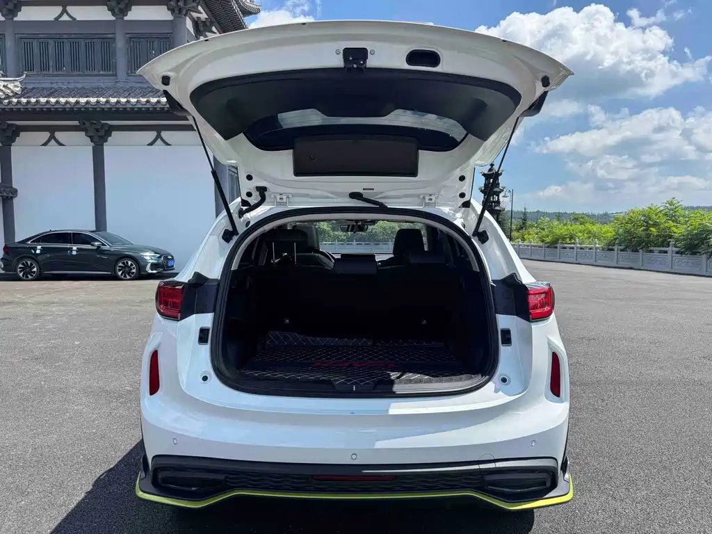 Haval Chitu — миниатюра 20