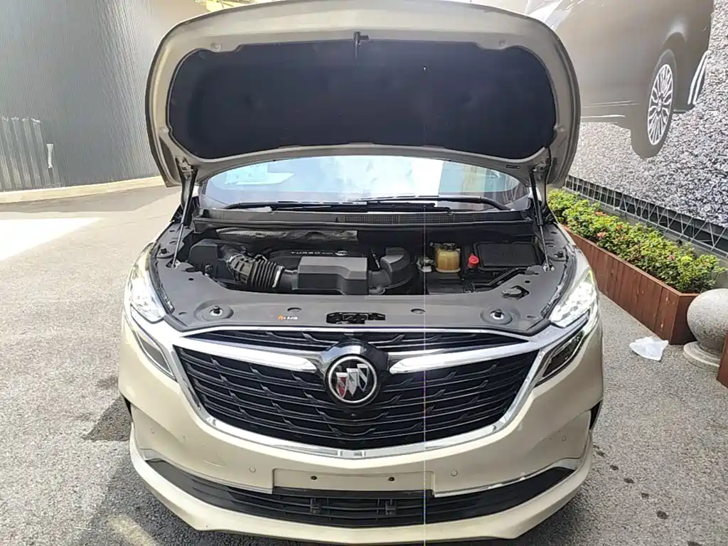 Buick GL8 — миниатюра 20