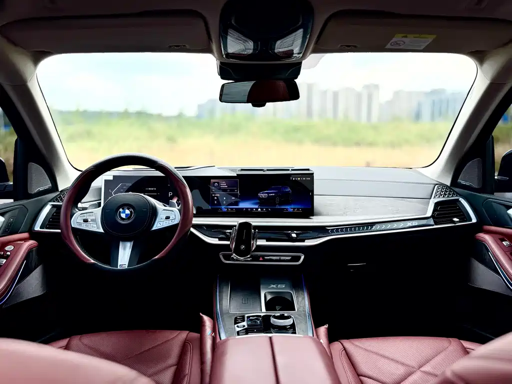 BMW X5 — миниатюра 9