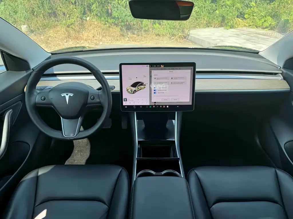 Tesla Model 3 — миниатюра 6