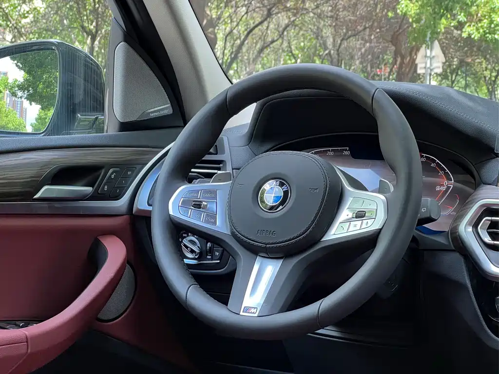 BMW X3 — миниатюра 17