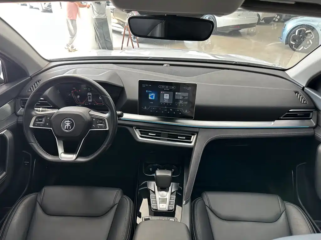 BYD Pro New Energy — миниатюра 15