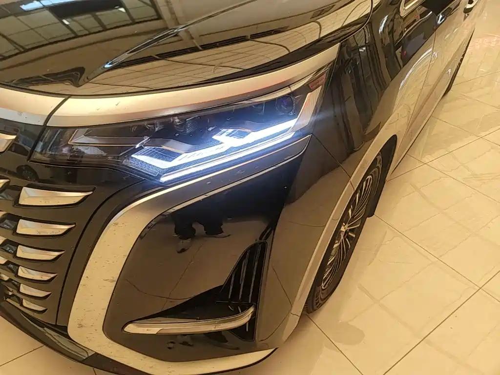 Denza Denza D9 — миниатюра 24