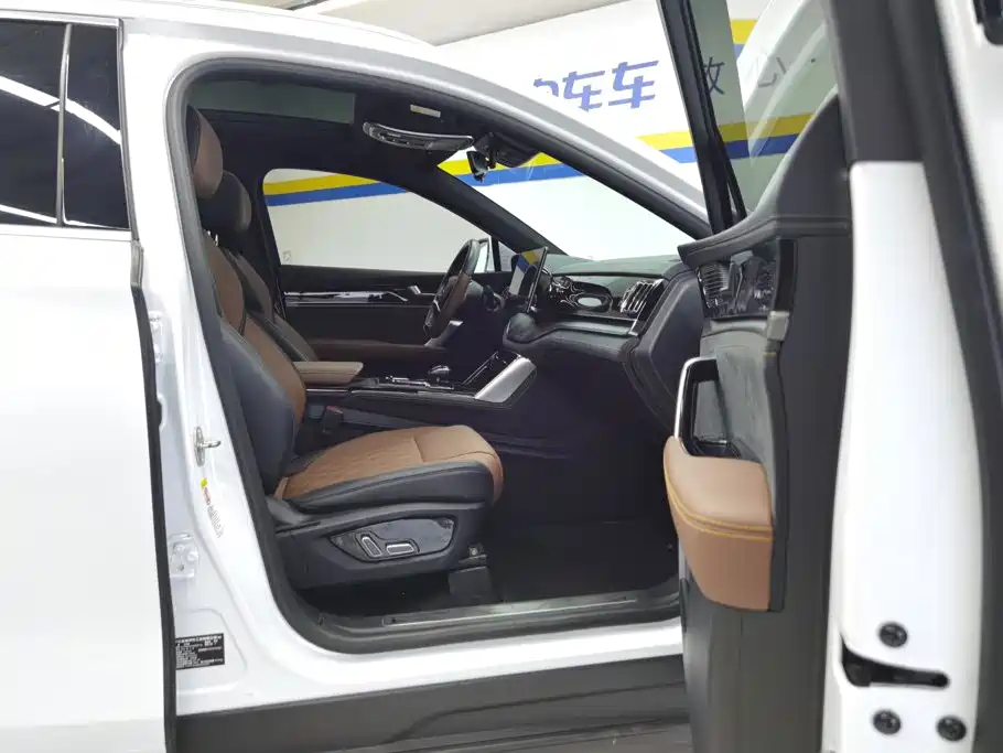 BYD Tang New Energy — миниатюра 8