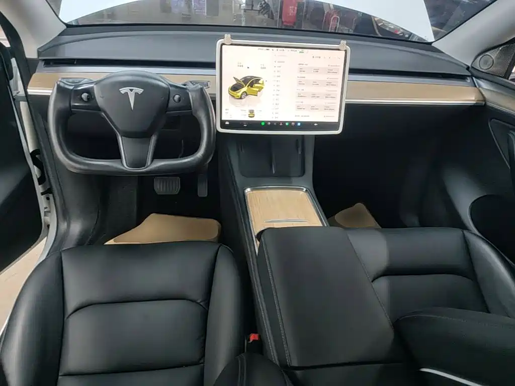 Tesla Model Y — миниатюра 10